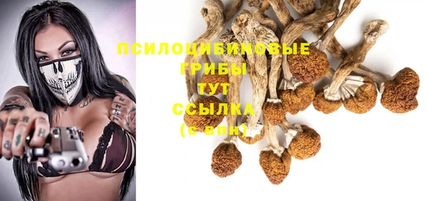 мдпв Беломорск