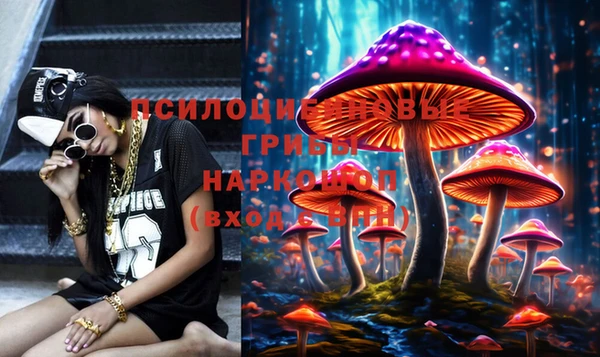 apvp Белокуриха
